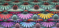 Preview: Designer-Baumwollstoff Love Always Echinacea in Dim (10 cm)